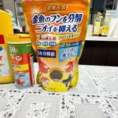 金魚の水槽ただであげます
の画像