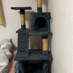 キャットタワーの画像