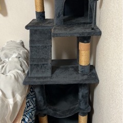 キャットタワーの画像