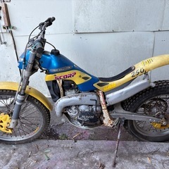 スコルパ250の画像