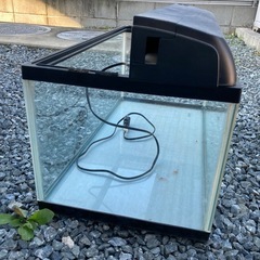 GEX　水槽の画像