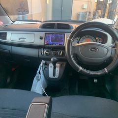 30日、31日のみ　ステラの画像