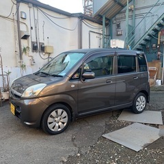 30日、31日のみ　ステラの画像