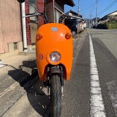 ◎スズキ　チョイノリ
の画像