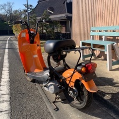 ◎スズキ　チョイノリ
の画像