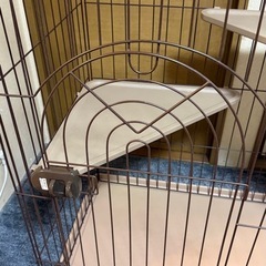 キャットゲージ3段の画像