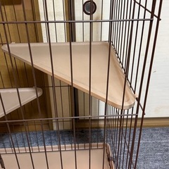 キャットゲージ3段の画像