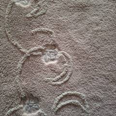 クレージュ　ピンクのマット 26.5cm X 245cm 位X 厚み1cm の画像