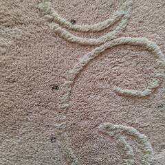 クレージュ　ピンクのマット 26.5cm X 245cm 位X 厚み1cm の画像