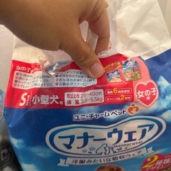 犬用オムツまとめての画像