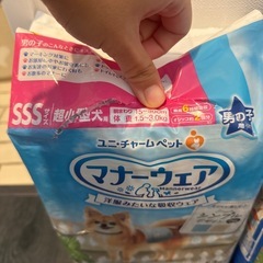 犬用オムツまとめての画像