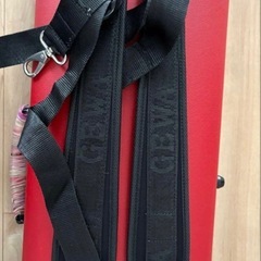 バイオリンケース　GEWAの画像