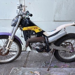 スコルパ298の画像