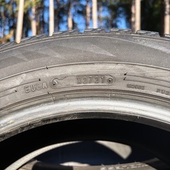 ダンロップスタッドレスタイヤ4本セット
の画像