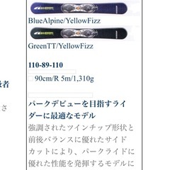 サロモン  スノーブレード SB9 ファンスキーの画像