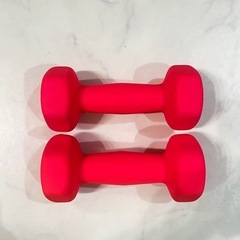 ダンベル2kg×2個の画像