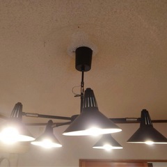 DI CLASSE　ディクラッセ　レグルス ペンダント ライトの画像