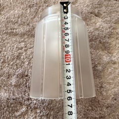 電球カバー&電球の画像