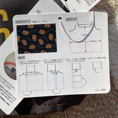 エコバッグの画像