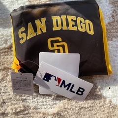 エコバッグの画像