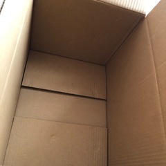 ダンボール未使用の画像