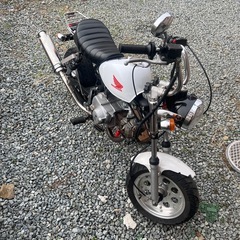 モンキー　z50jの画像