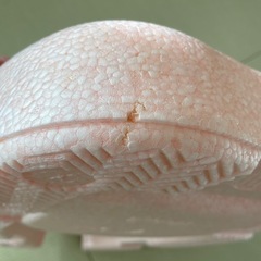 リッチェル　ひんやりしないお風呂マットの画像