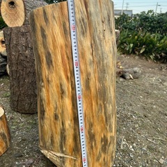 松　切り株の画像