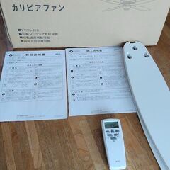 ＤＡＩＫＯ　DP-35208　シーリングファンの画像