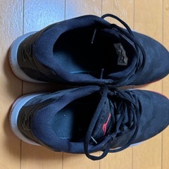 ジョーダン　バッシュの画像