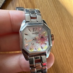 ダニエルウェリントン　DW danielwellington オリエント　ORIENT 腕時計の画像