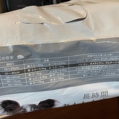 安心ウェア 小型犬 オムツ SS SSSの画像