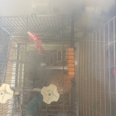 小動物保温ケースの画像