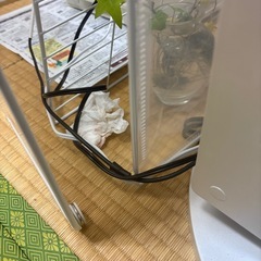 小動物保温ケースの画像