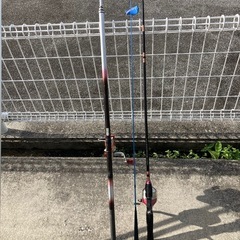 釣竿、モリの画像