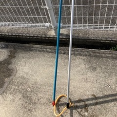 釣竿、モリの画像