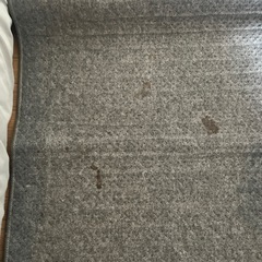 引取限定　KODEN 電気カーペット の画像