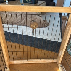 犬　ゲージの画像