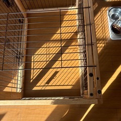 犬　ゲージの画像