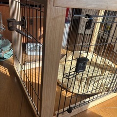 犬　ゲージの画像