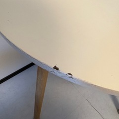 韓国風丸テーブル&チェア セットの画像