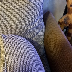 3人掛けソファの画像