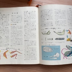 新訂 学習カラー百科 の画像