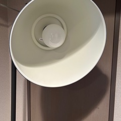フロアライト②の画像