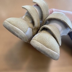 asics スニーカー　すくすく　ベージュ　11.5cmの画像