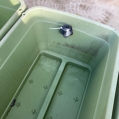 めだか容器の画像