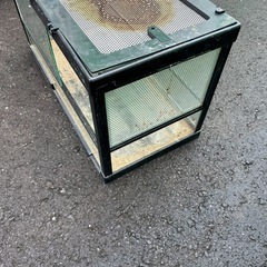 爬虫類　ケージ　の画像