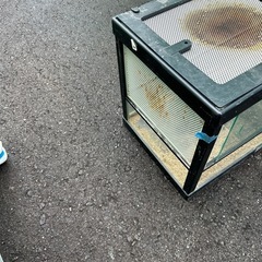 爬虫類　ケージ　の画像