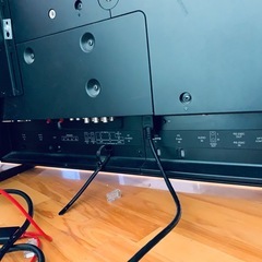 テレビ　モニター
の画像