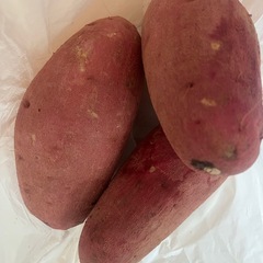 食品＋みかんとさつまいもの画像